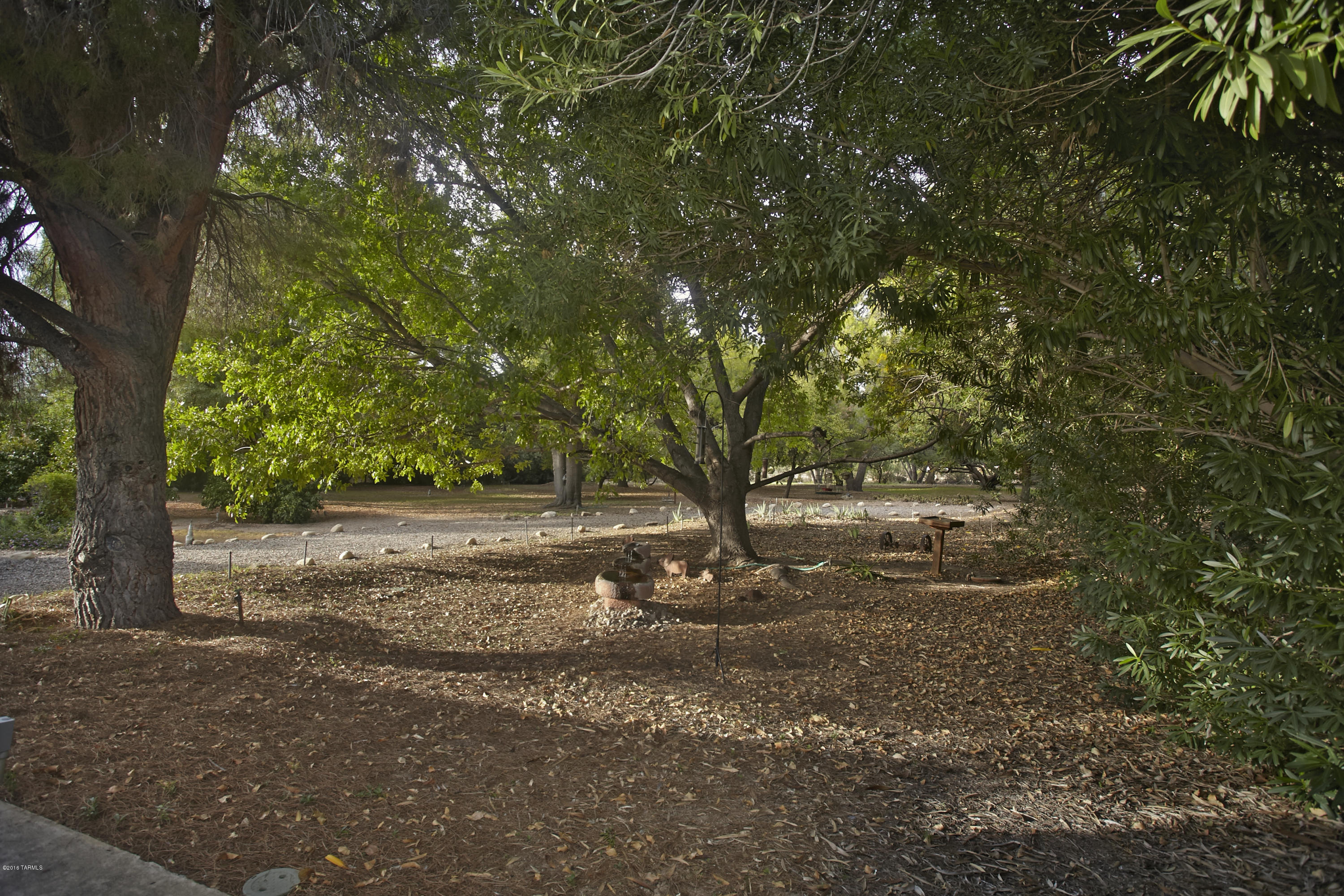 3333 North Webster Road Tucson, AZ 85750 - Photo 48 of 50 Gallery Image 48