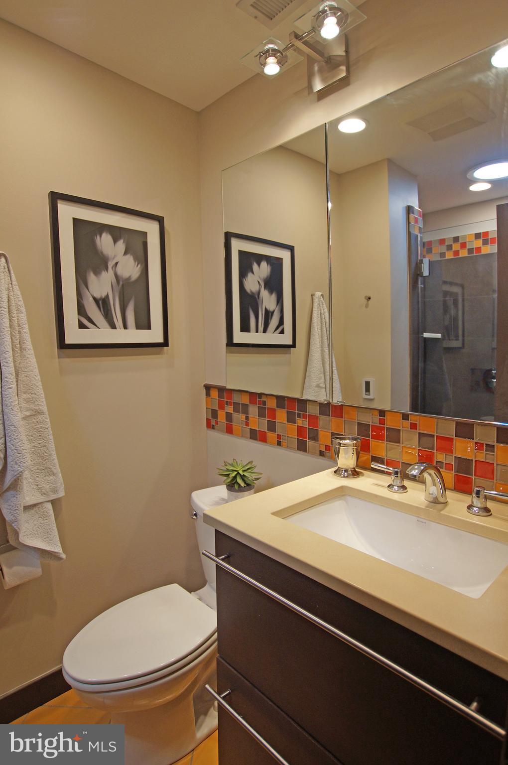 307 9th Street Southeast Washington, DC 20003 - Photo 25 of 29 Gallery Image 25