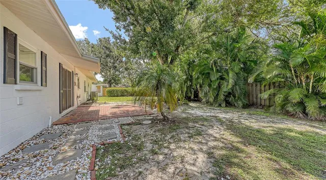 a view of a yard with plants and trees