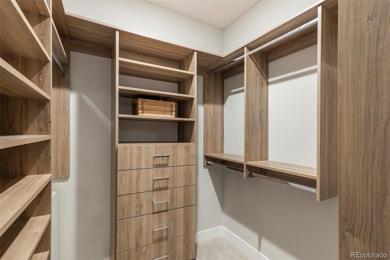 5828 Tesoro Point Parker, CO 80134 - Photo 30 of 43 a view of an empty walk in closet