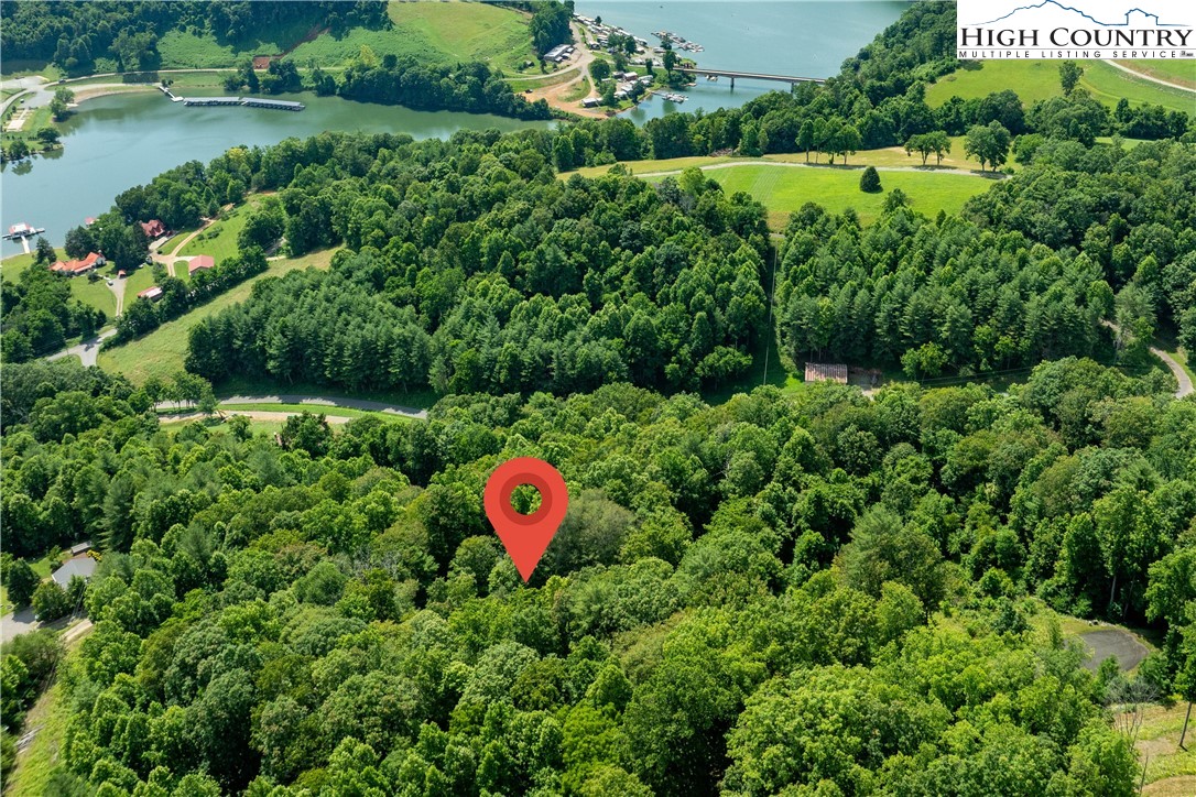 Lot 32 Lake Ridge Butler, TN 37640 - Photo 15 of 30 a view of a garden with a lake view