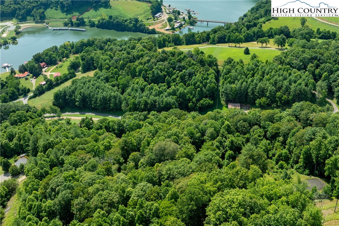 Lot 32 Lake Ridge Butler, TN 37640 - Photo 16 of 30 a view of a garden with a lake view