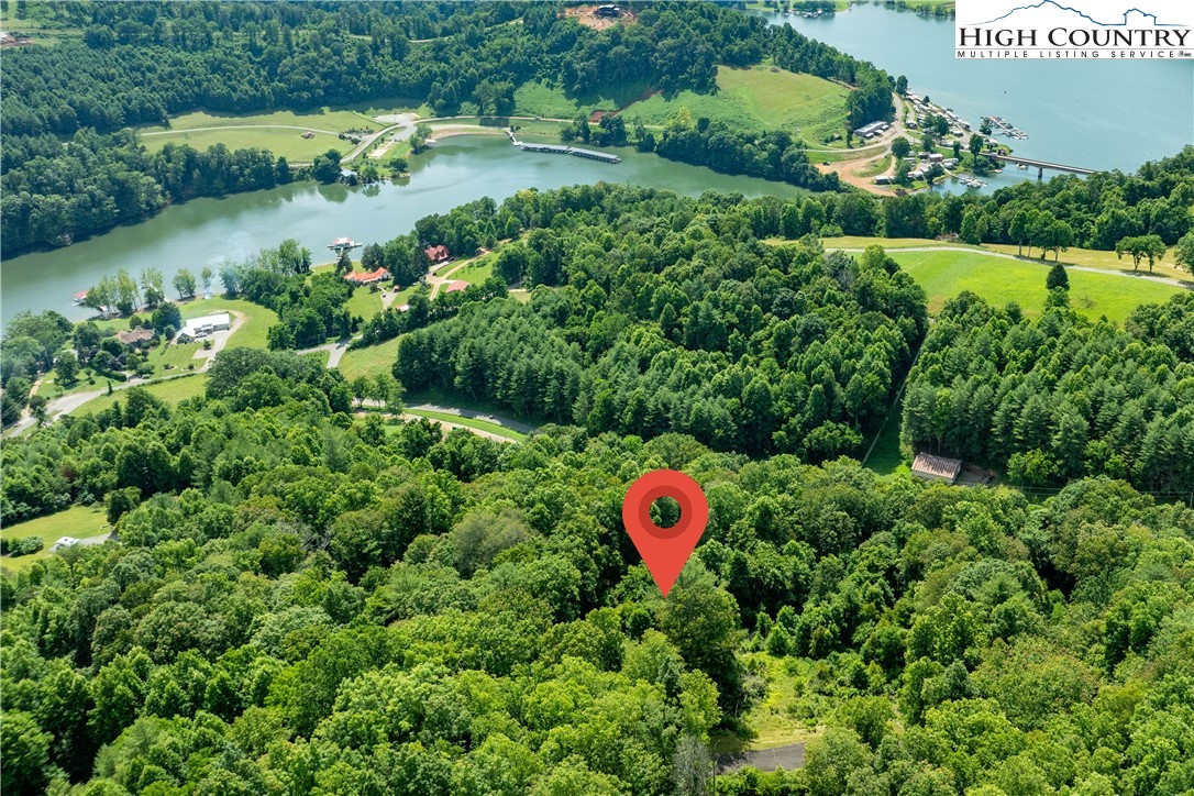 Lot 32 Lake Ridge Butler, TN 37640 - Photo 17 of 30 a view of a plants with a swimming pool