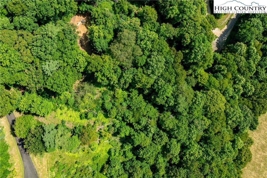 Lot 32 Lake Ridge Butler, TN 37640 - Photo 2 of 30 a view of a lush green forest with lots of trees