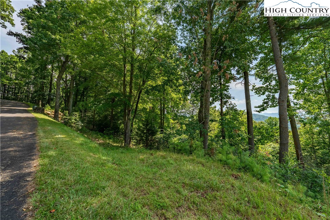Lot 32 Lake Ridge Butler, TN 37640 - Photo 27 of 30 a view of outdoor space and yard