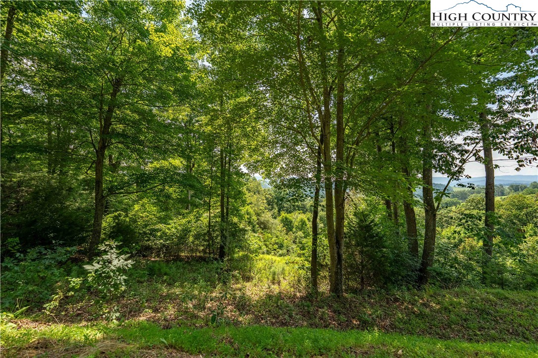 Lot 32 Lake Ridge Butler, TN 37640 - Photo 28 of 30 a view of a yard