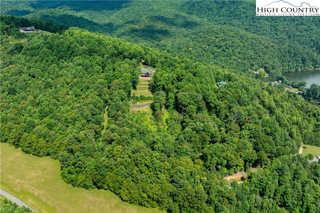 Lot 32 Lake Ridge Butler, TN 37640 - Photo 4 of 30 a view of a lush green forest with lots of trees