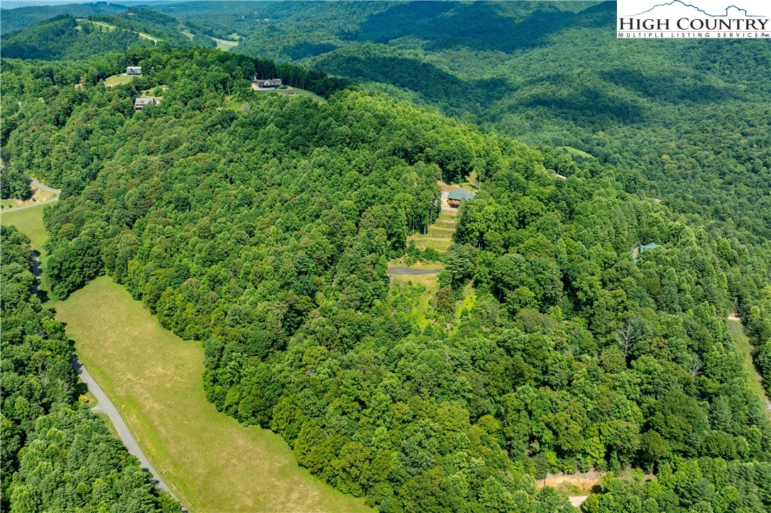 Lot 32 Lake Ridge Butler, TN 37640 - Photo 6 of 30 a view of a yard with plants and a small park