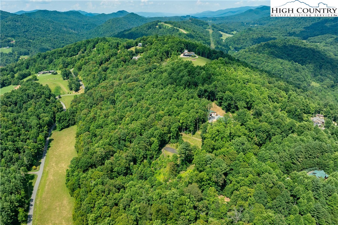 Lot 32 Lake Ridge Butler, TN 37640 - Photo 8 of 30 a view of a lush green forest with lots of trees