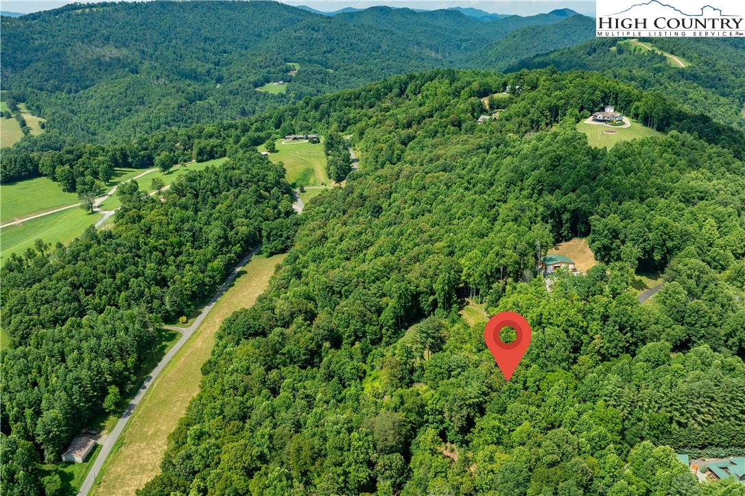 Lot 32 Lake Ridge Butler, TN 37640 - Photo 9 of 30 a view of a lush green field with lots of bushes