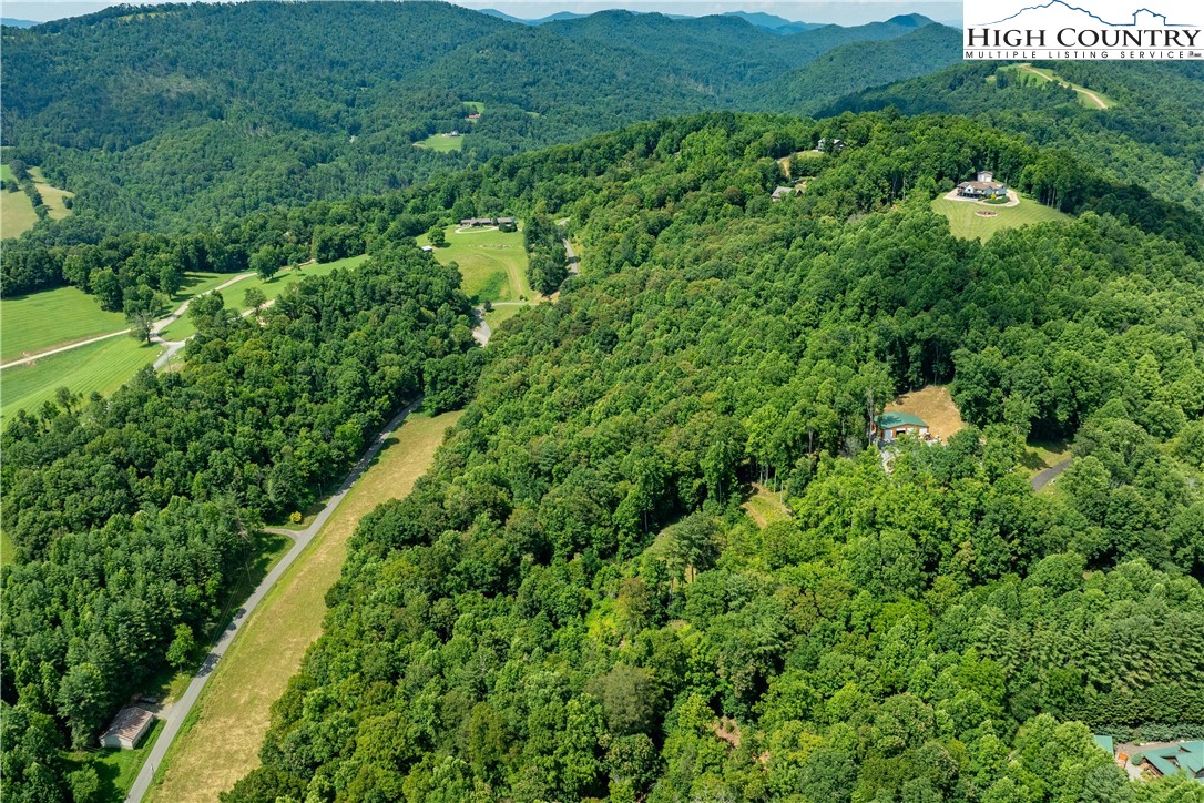 Lot 32 Lake Ridge Butler, TN 37640 - Photo 10 of 30 a view of a lush green field with lots of bushes