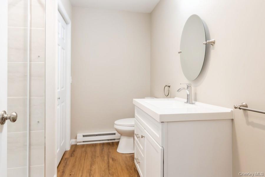 435 State Rte 55 Eldred, NY 12732 - Photo 22 of 26 a bathroom with a sink toilet and a mirror