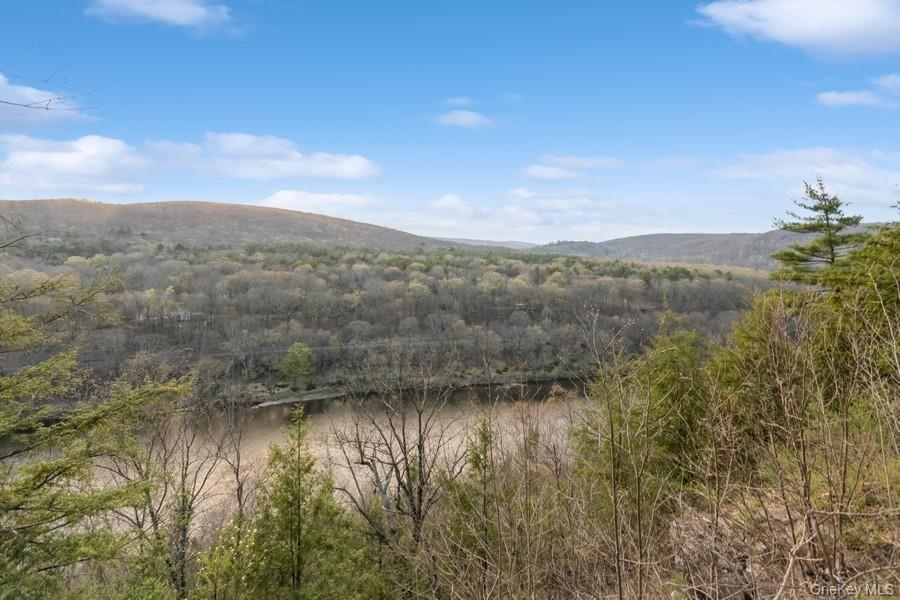 435 State Rte 55 Eldred, NY 12732 - Photo 26 of 26 a view of lake