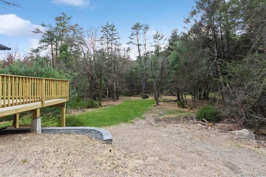 435 State Rte 55 Eldred, NY 12732 - Photo 3 of 26 a view of a park with large trees