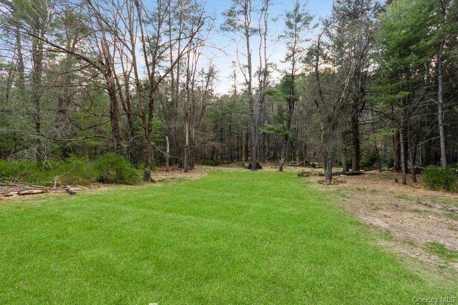 435 State Rte 55 Eldred, NY 12732 - Photo 5 of 26 a view of backyard with trees