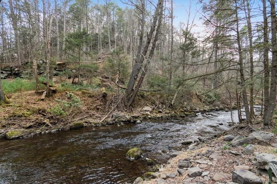 435 State Rte 55 Eldred, NY 12732 - Photo 6 of 26 a view of a yard