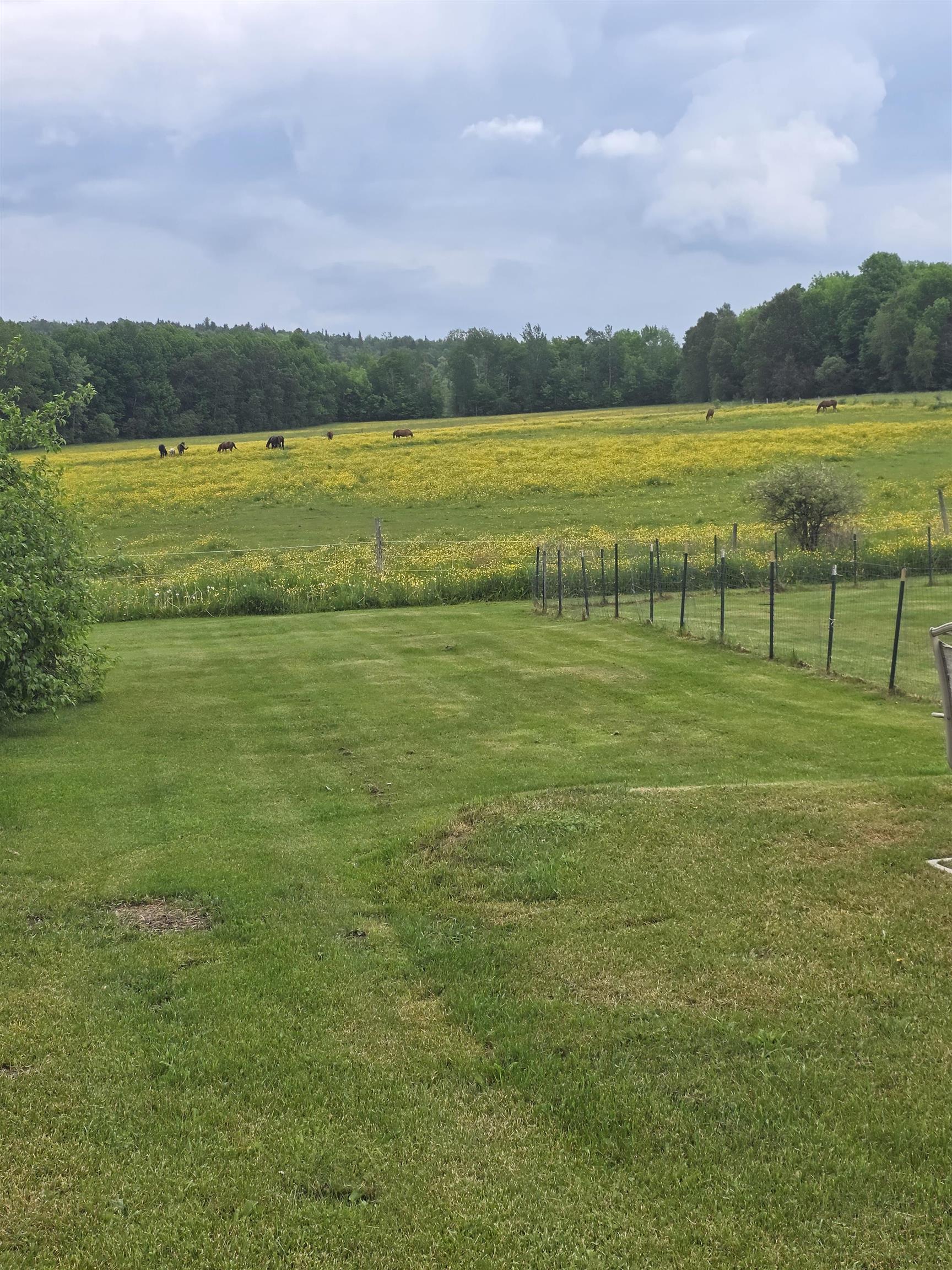 427 Stone Road Williamstown, VT 05679 - Photo 38 of 60