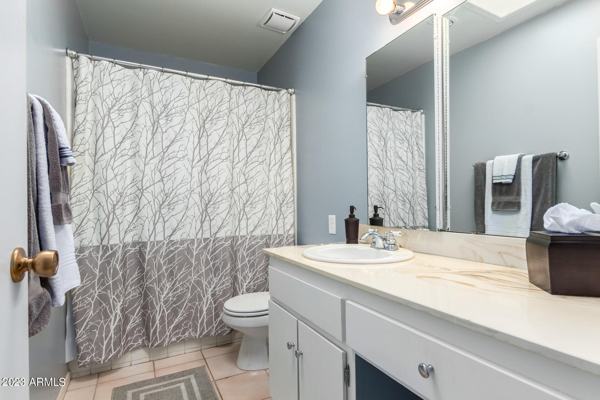 7619 East Chaparral Road Scottsdale, AZ 85250 - Photo 18 of 46 Hall Bath