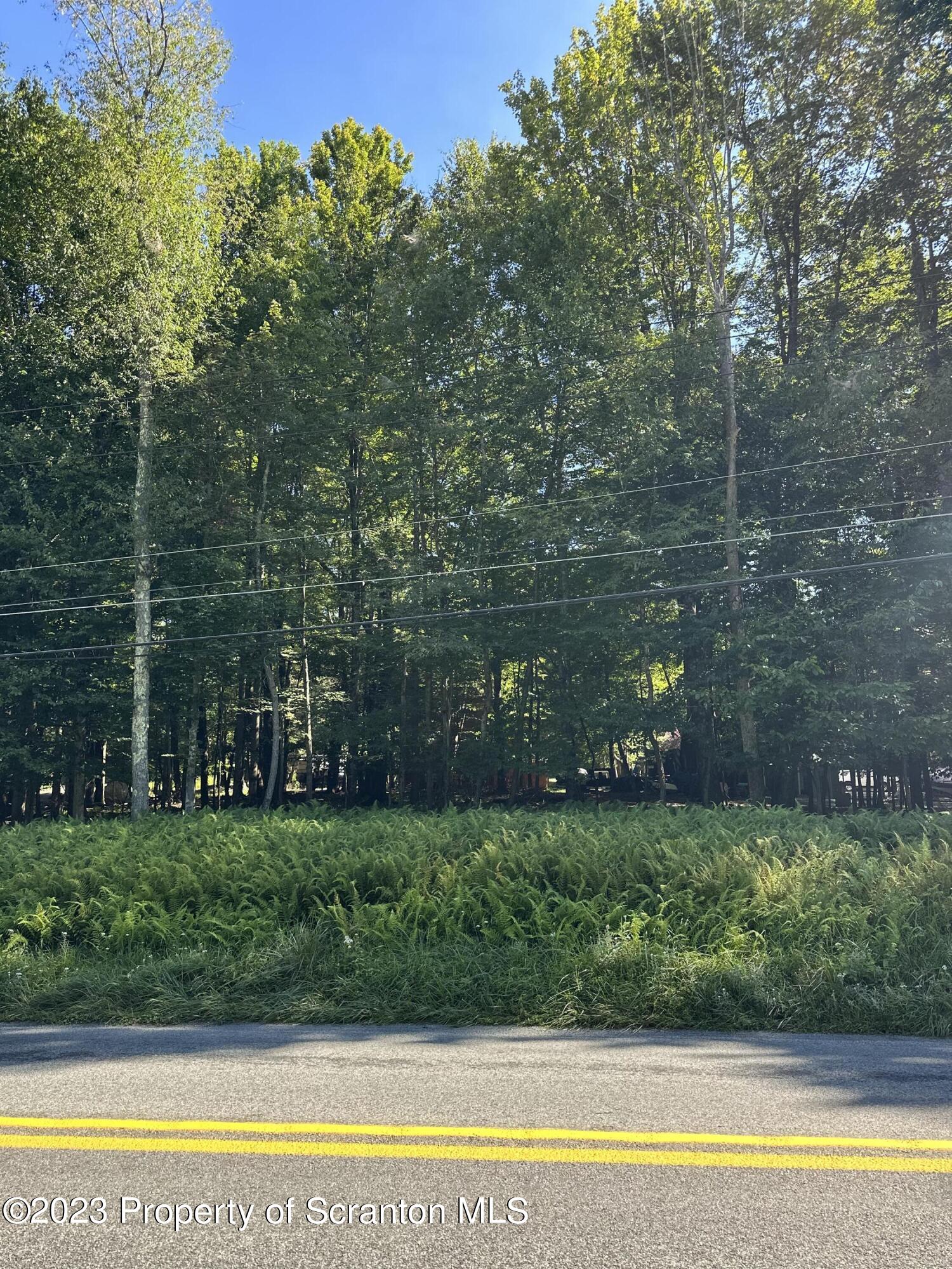 a view of a swimming pool with a yard and large trees