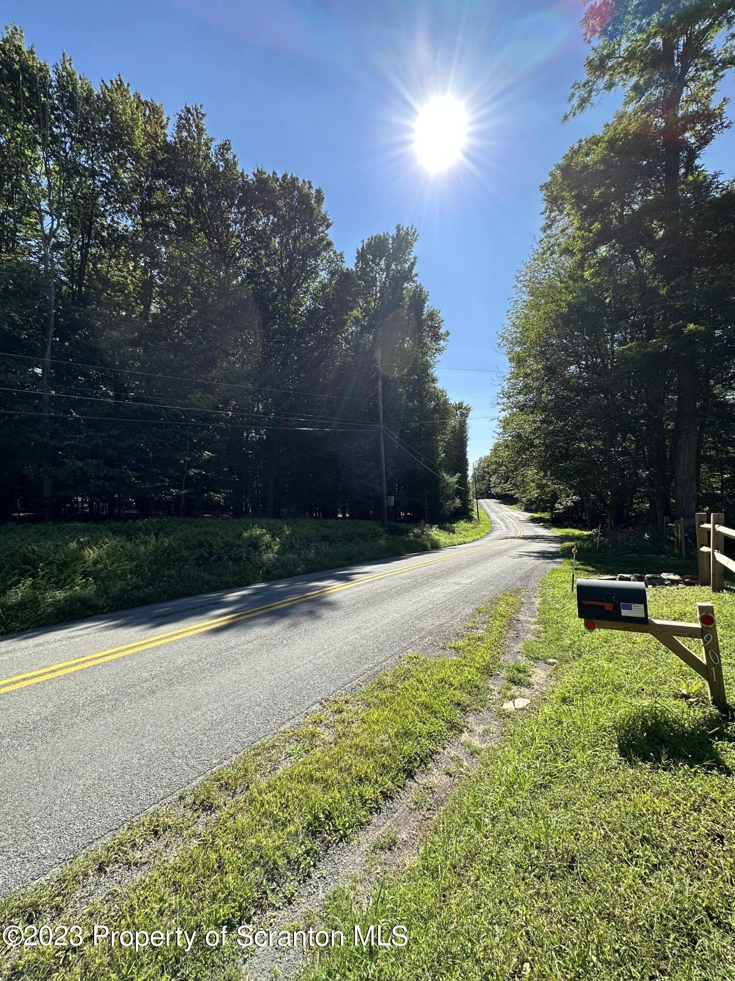 902 Goose Pond Road Lake Ariel, PA 18436 - Photo 5 of 7 a view of a backyard with green space