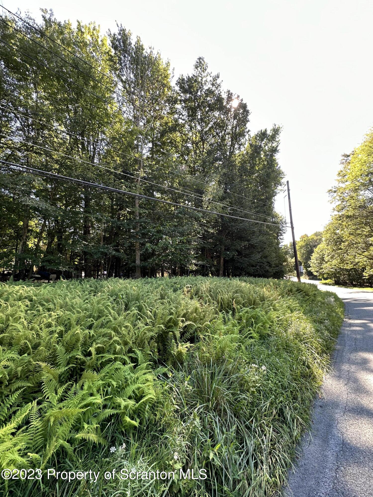 902 Goose Pond Road Lake Ariel, PA 18436 - Photo 7 of 7 a view of a garden