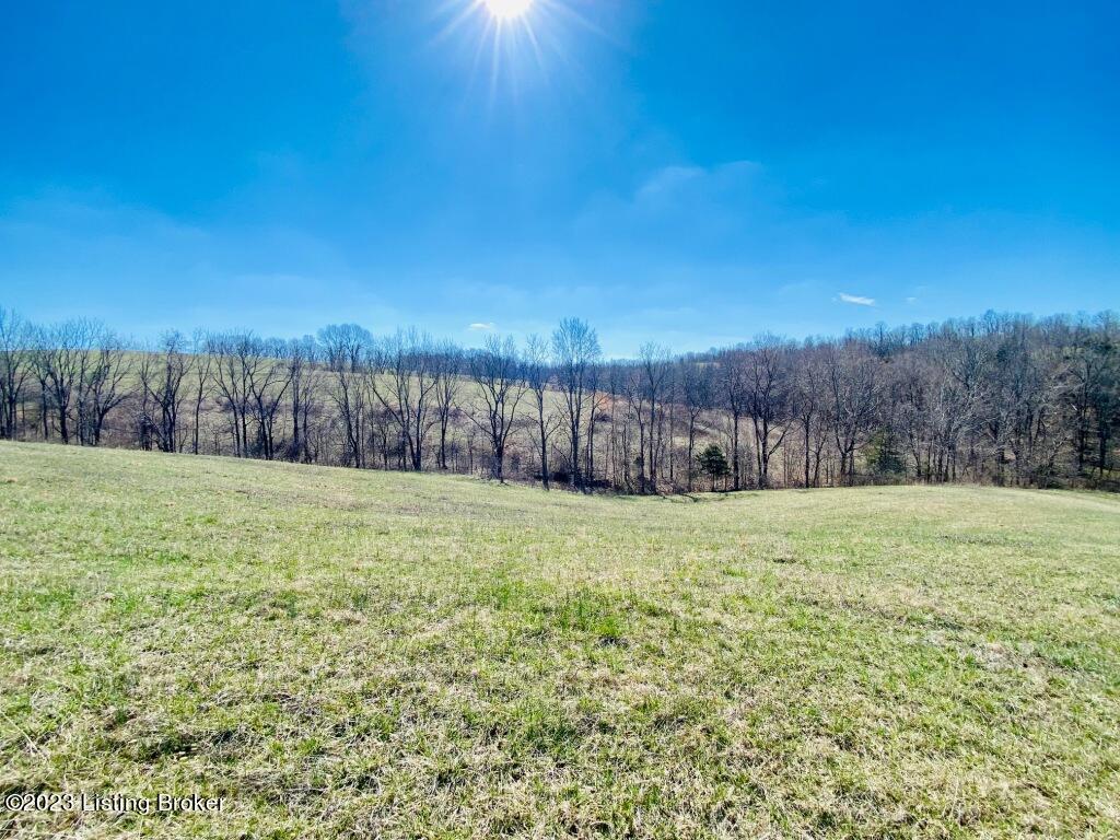 1945 Long Run Road Springfield, KY 40069 - Photo 27 of 81 IMG_2480