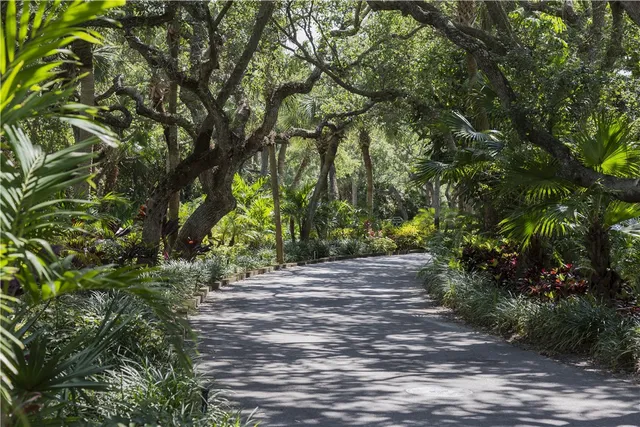 a view of a yard with plants and trees