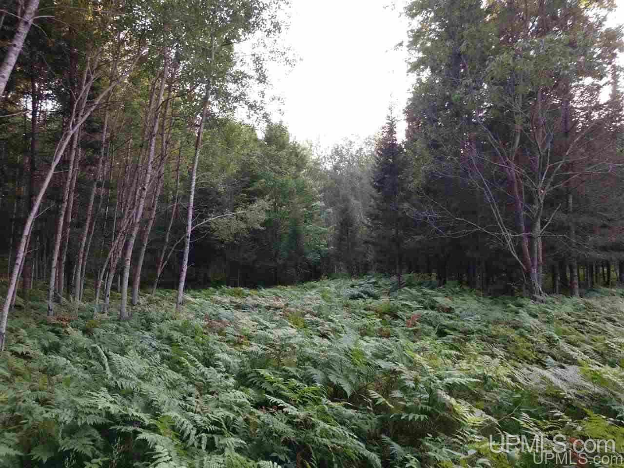 40-acres Old Cc Road Perronville, MI 49892 - Photo 1 of 1