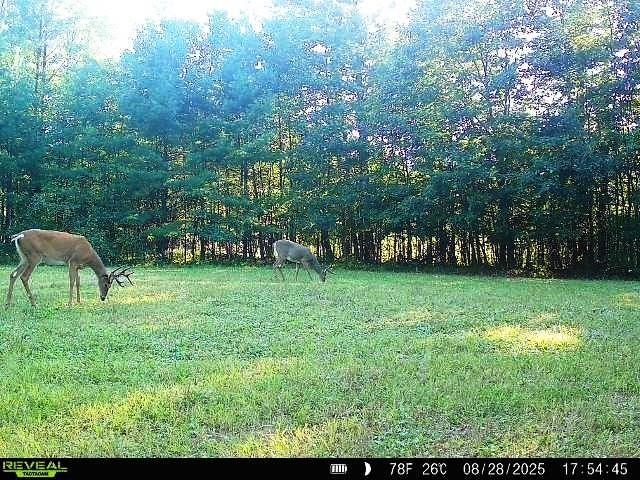 W7512 Poertner Road Neillsville, WI 54456 - Photo 25 of 37