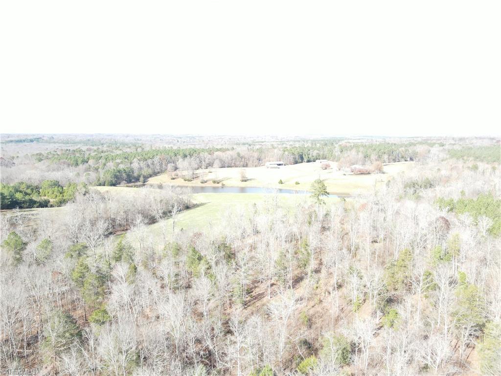0 Flat Creek Road Bennett, NC 27208 - Photo 2 of 6