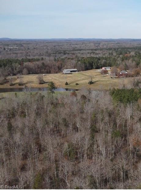 0 Flat Creek Road Bennett, NC 27208 - Photo 3 of 6