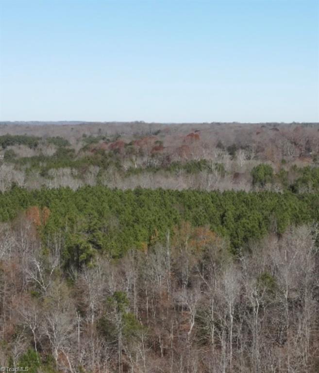 0 Flat Creek Road Bennett, NC 27208 - Photo 4 of 6
