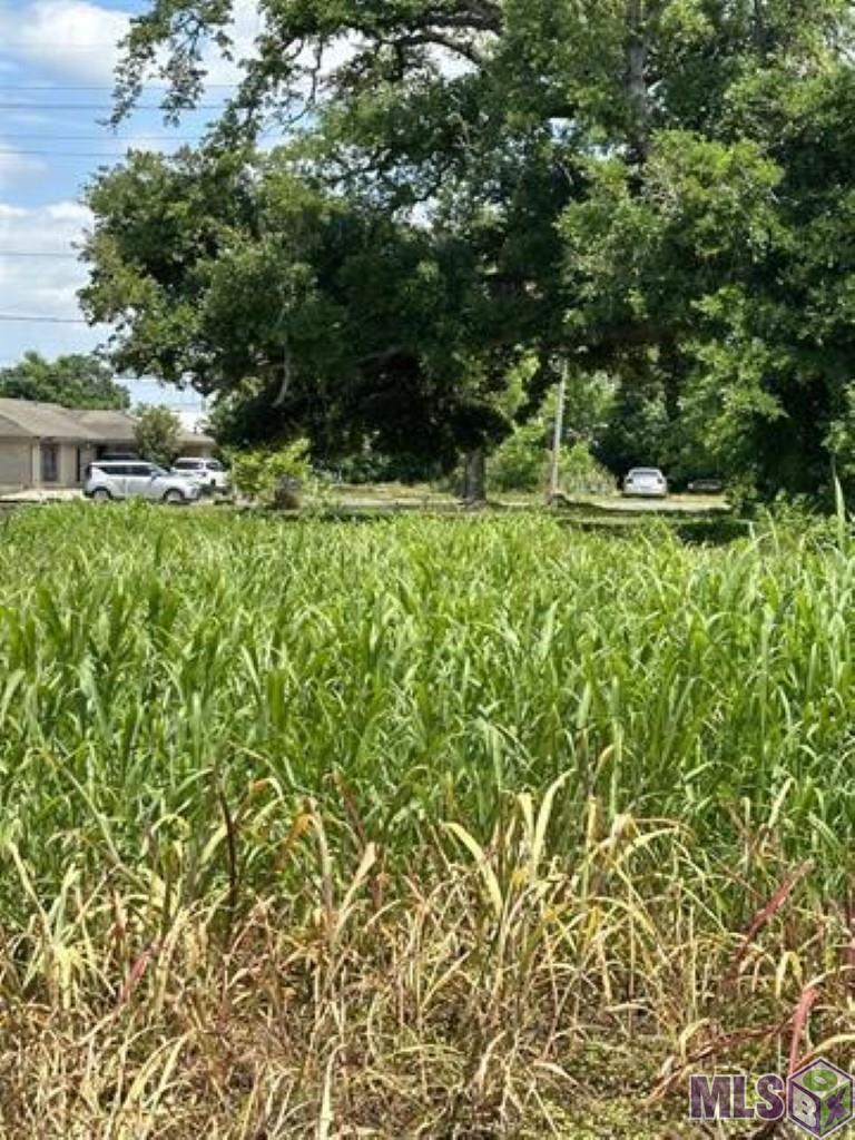 292 Grand Caillou Road Houma, LA 70363 - Photo 1 of 1