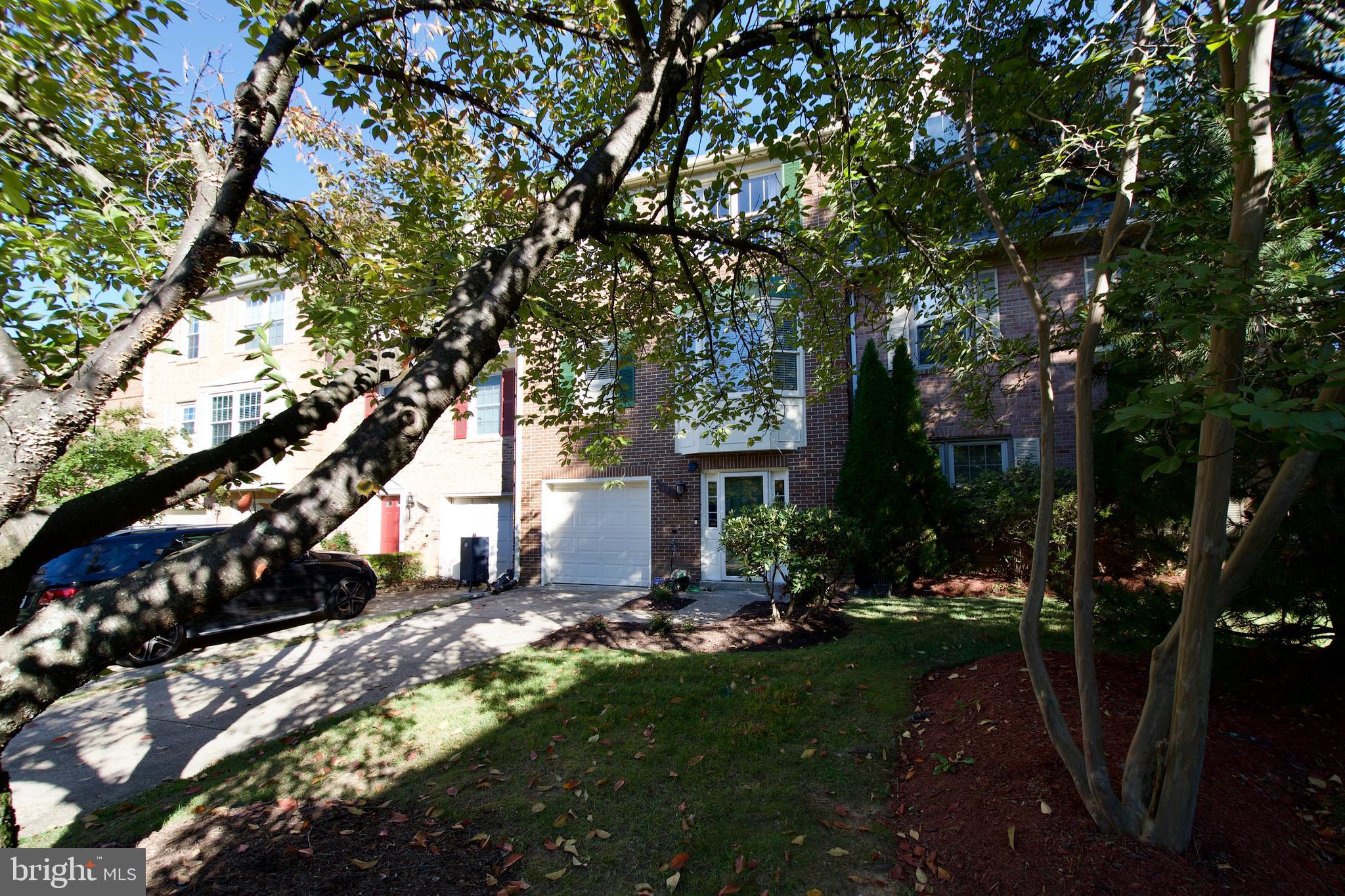 11324 Baritone Court Silver Spring, MD 20901 - Photo 3 of 41 Gallery Image 3