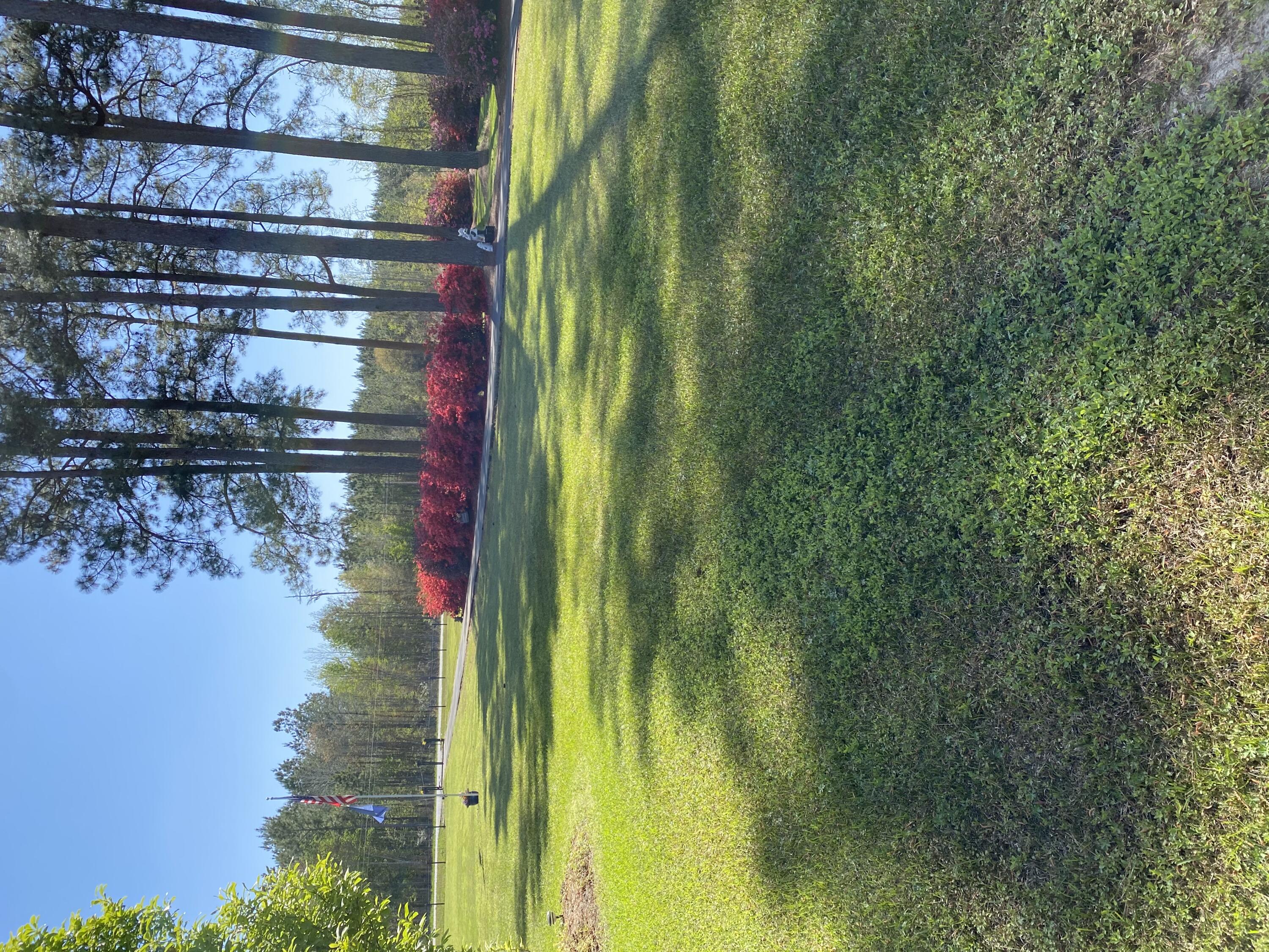 3352 Cattle Creek Road Branchville, SC 29432 - Photo 18 of 19 IMG_5963