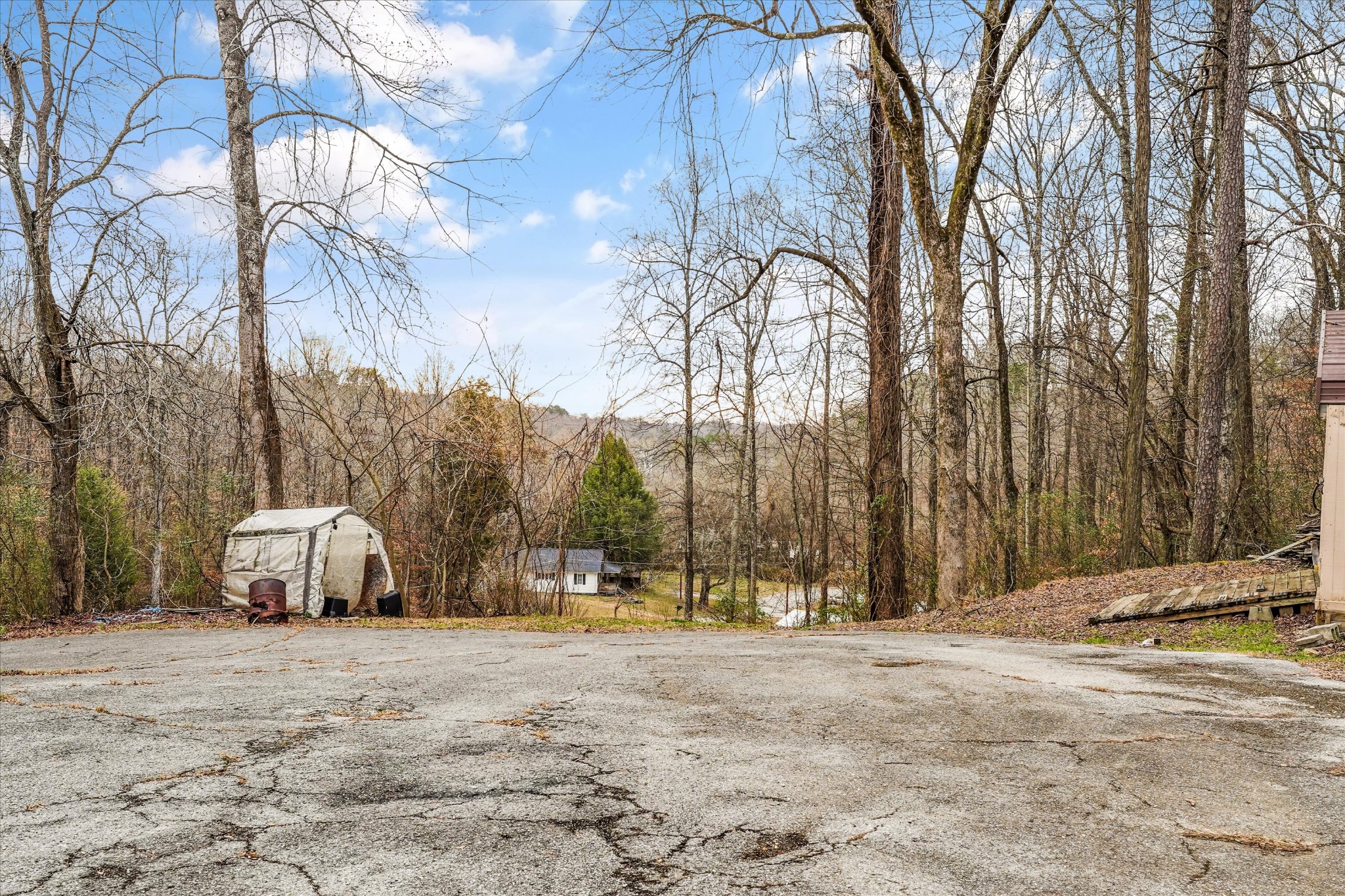 131 Scott Road Harriman, TN 37748 - Photo 47 of 51 a view of a park with large trees