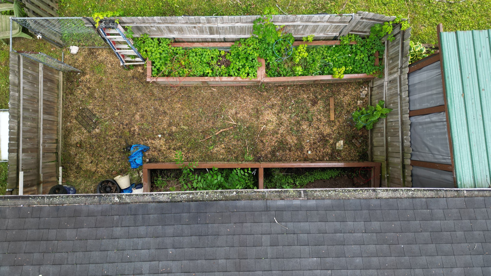 131 Scott Road Harriman, TN 37748 - Photo 10 of 51 a view of a garden