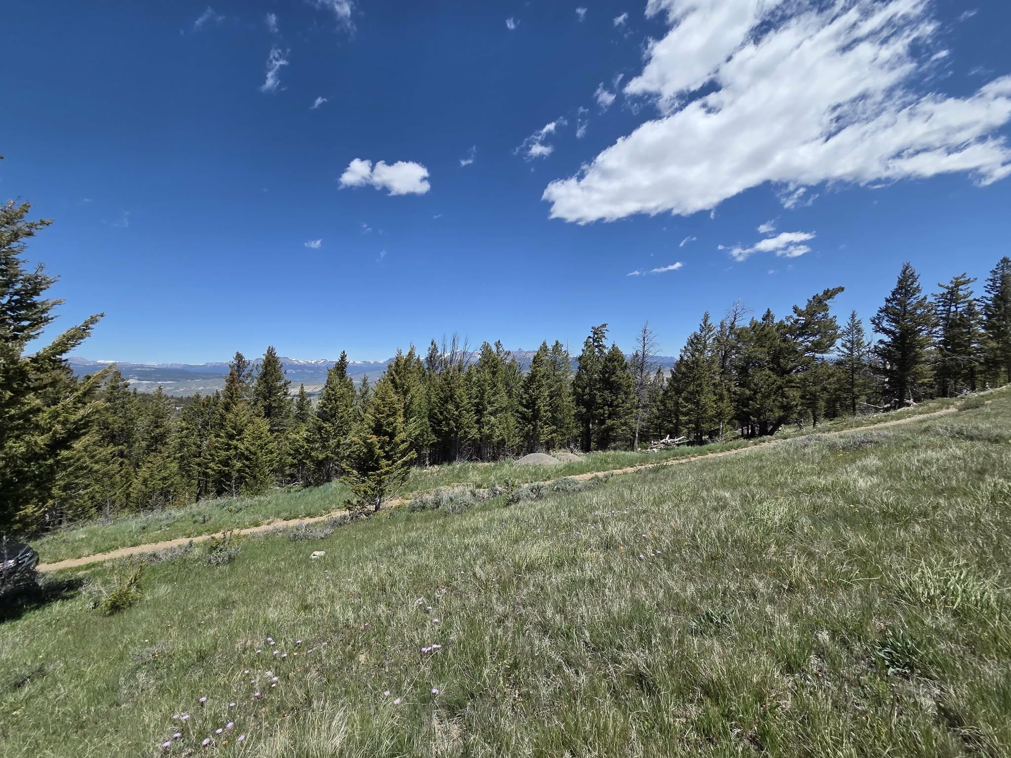 3 Starry Way Dubois, WY 82513 - Photo 6 of 30