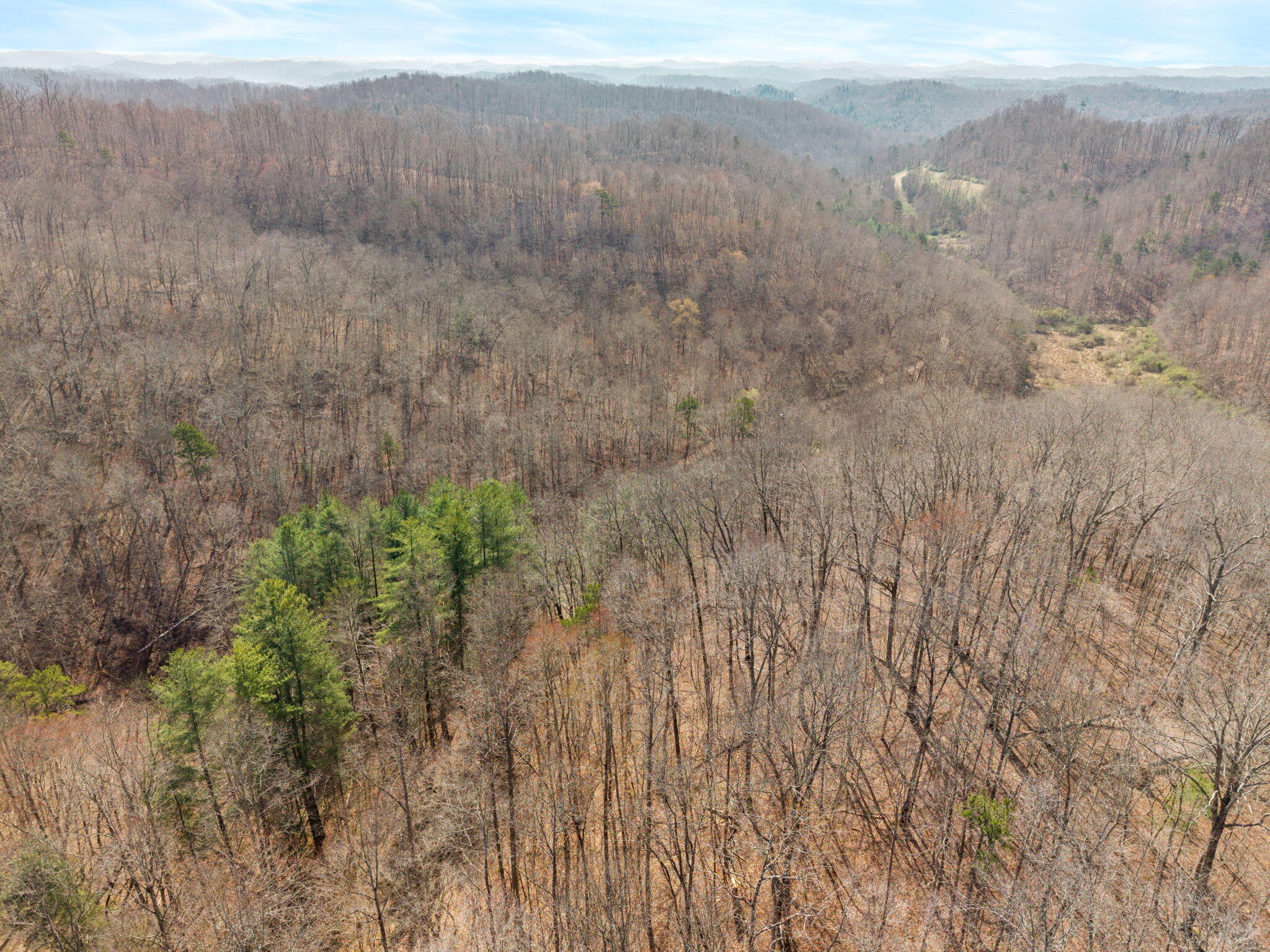 1230 Possum Trot Road Manchester, KY 40962 - Photo 20 of 25 23-web-or-mls-DJI_20260321115103_0060_D