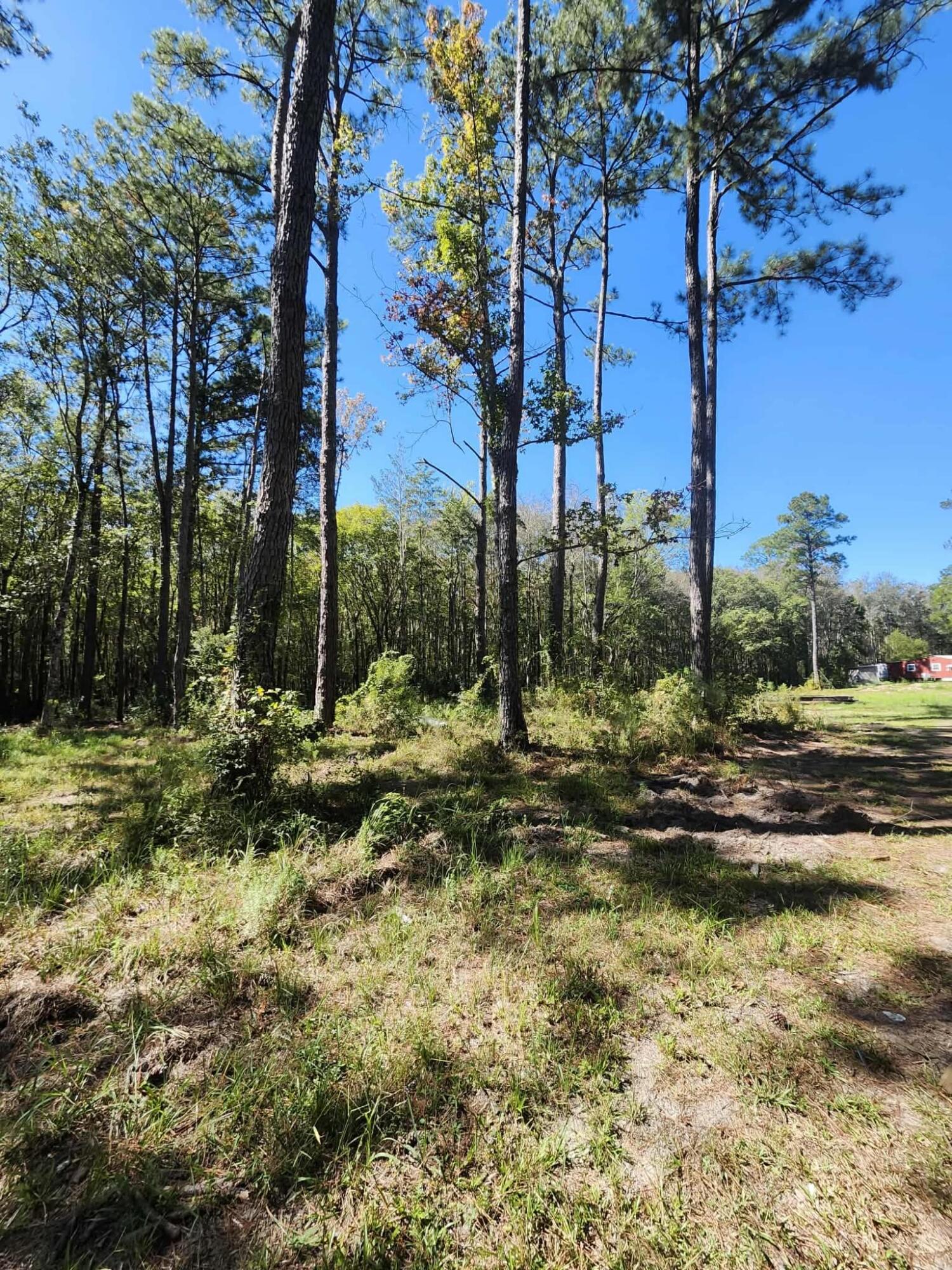 402 Smokehouse Lake Road Ponce de Leon, FL 32455 - Photo 10 of 13 a view of a garden with a tree