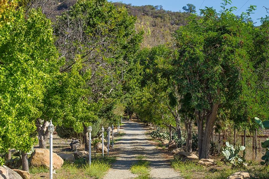 10075 Ojai Santa Paula Road Ojai, CA 93023 - Photo 17 of 17 a view of yard with green space