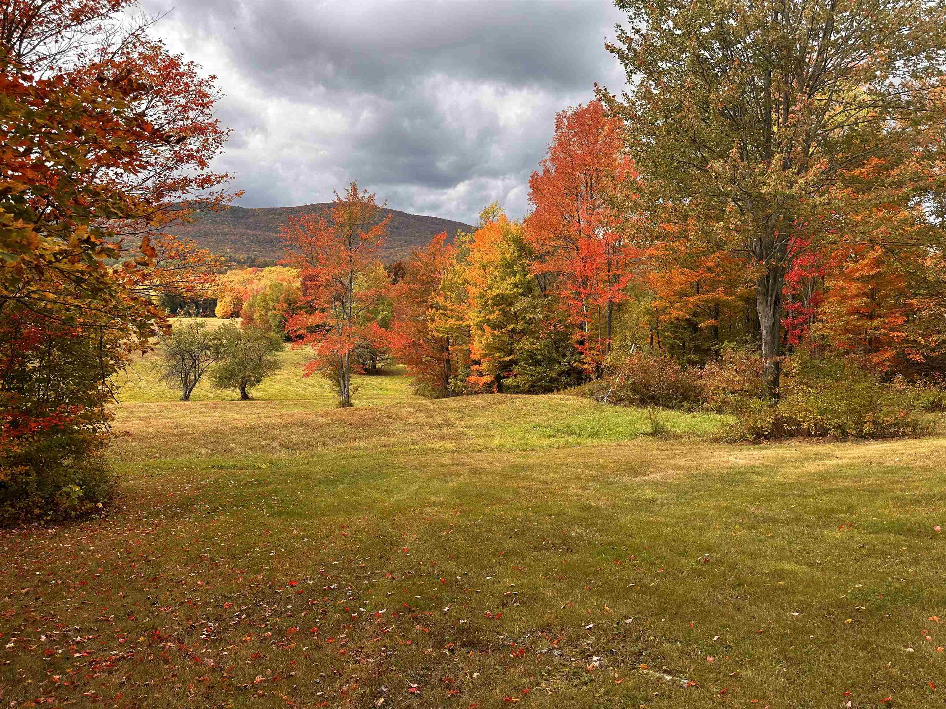 572 Blakely Road Wheelock, VT 05851 - Photo 4 of 52