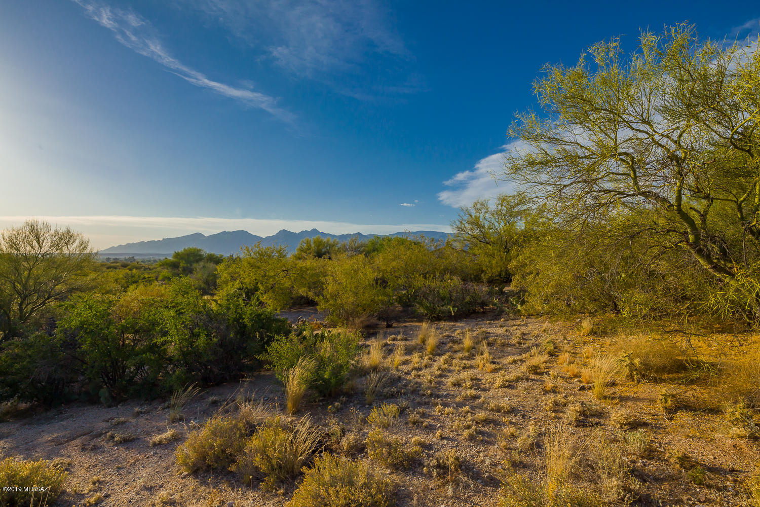 651 North Western Ridge Trail Tucson, AZ 85748 - Photo 34 of 37