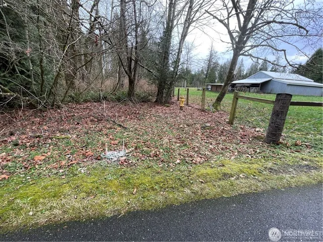 a view of a yard with a tree