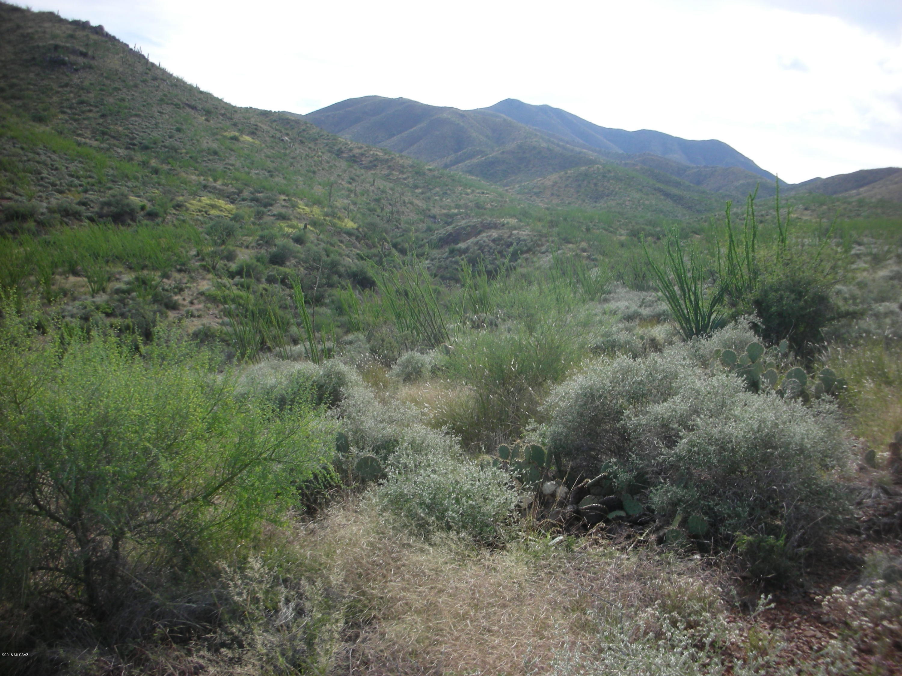 10600 East Ocotillo Rim Trail Vail, AZ 85641 - Photo 17 of 24 Gallery Image 17