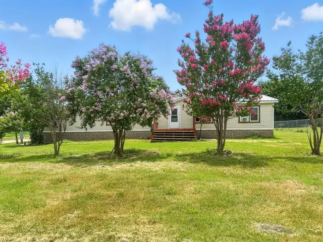a view of a tree in a yard