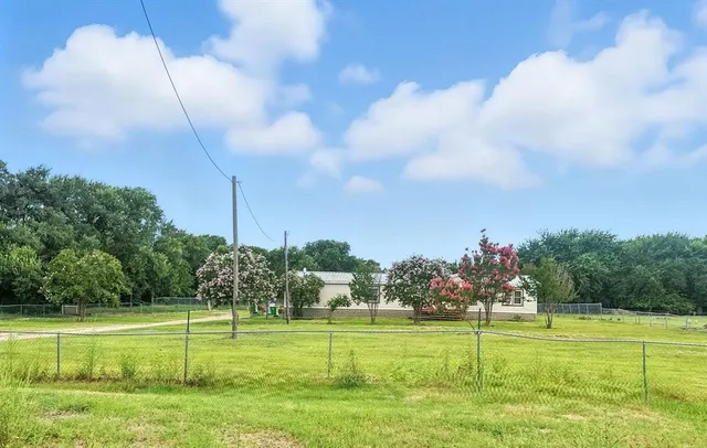 a view of a big yard and a large tree in the background