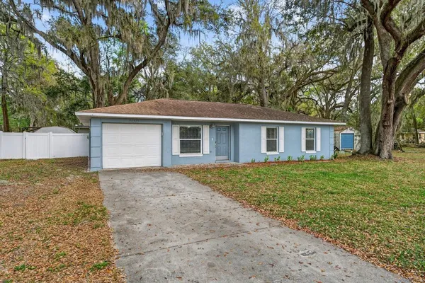 a view of a backyard