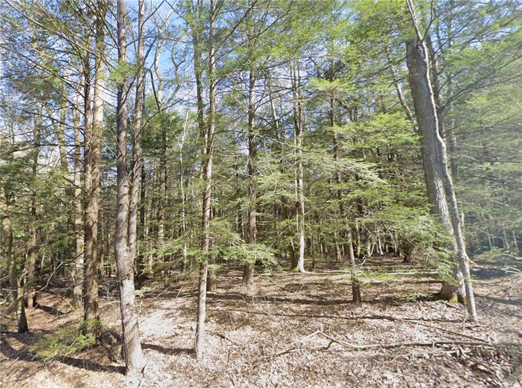 0 Stagers Road Summerhill, PA 15958 - Photo 5 of 14