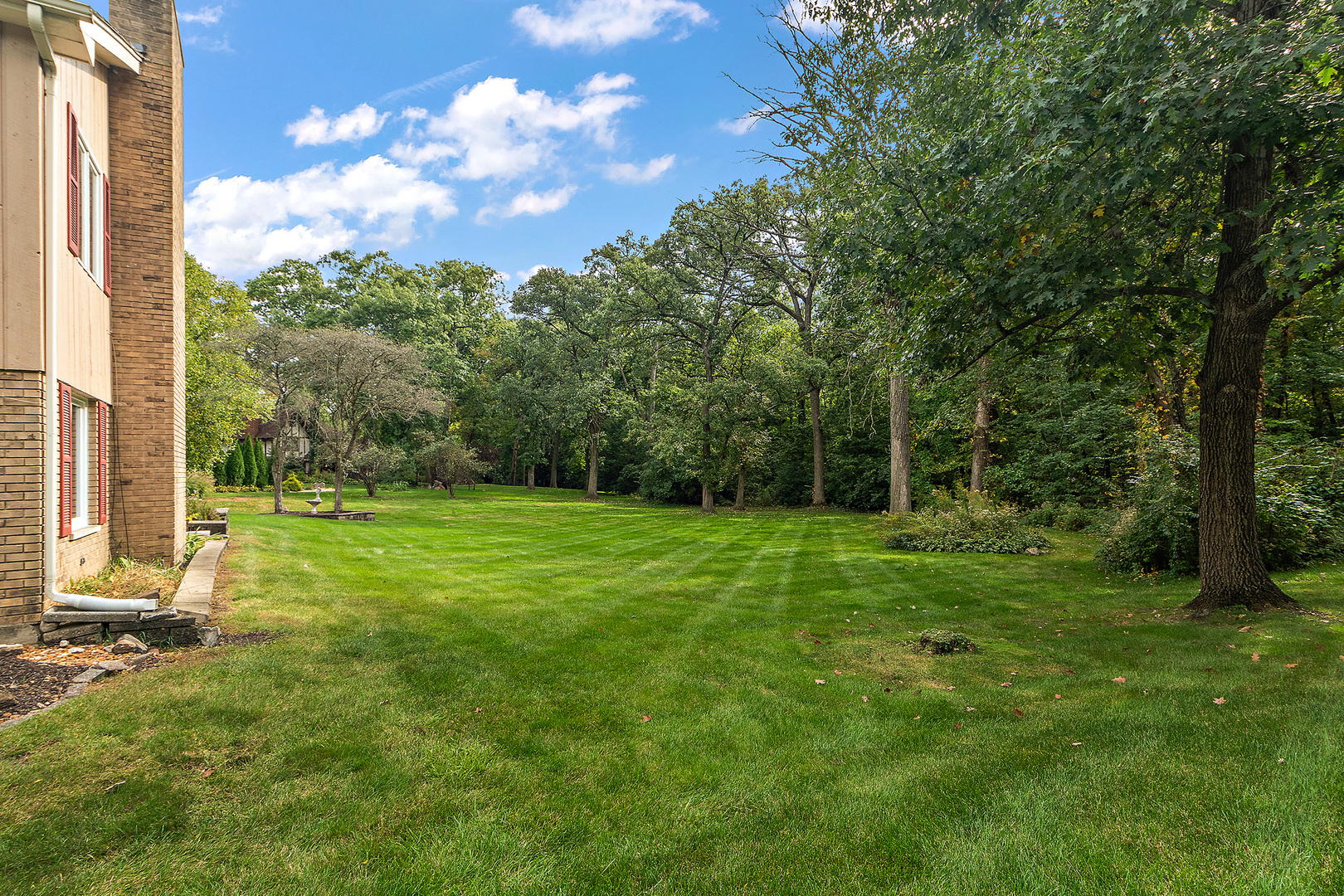 590 Timber Lane Frankfort, IL 60423 - Photo 46 of 50 a view of a garden with a tree